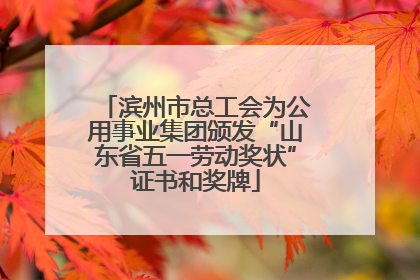 滨州市总工会为公用事业集团颁发“山东省五一劳动奖状”证书和奖牌