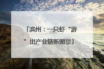 滨州：一只虾“游”出产业链新图景