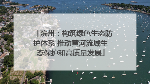 滨州：构筑绿色生态防护体系 推动黄河流域生态保护和高质量发展
