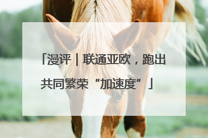 漫评｜联通亚欧，跑出共同繁荣“加速度”