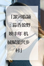 漯河临颍：蒜香盈野映丰年 机械赋能兴乡村