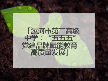 漯河市第二高级中学：“五五五”党建品牌赋能教育高质量发展