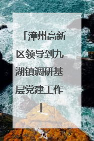 漳州高新区领导到九湖镇调研基层党建工作