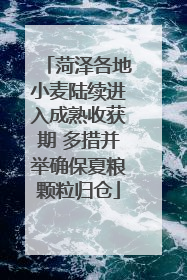 菏泽各地小麦陆续进入成熟收获期 多措并举确保夏粮颗粒归仓