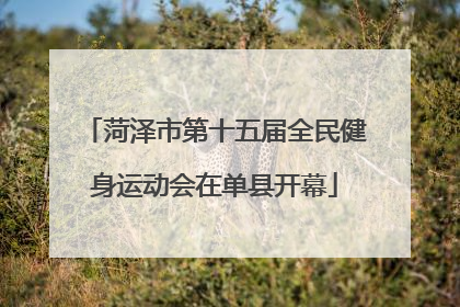 菏泽市第十五届全民健身运动会在单县开幕