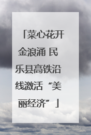 菜心花开金浪涌 民乐县高铁沿线激活“美丽经济”
