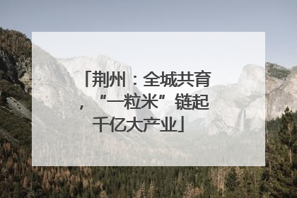 荆州：全城共育，“一粒米”链起千亿大产业