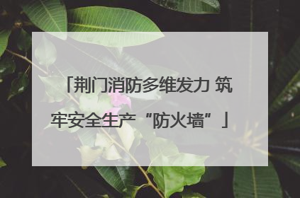 荆门消防多维发力 筑牢安全生产“防火墙”