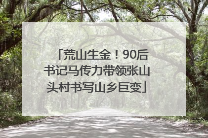 荒山生金！90后书记马传力带领张山头村书写山乡巨变