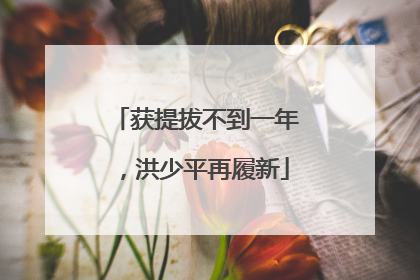 获提拔不到一年，洪少平再履新