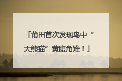 莆田首次发现鸟中“大熊猫”黄腹角雉！