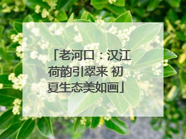 老河口：汉江荷韵引翠来 初夏生态美如画