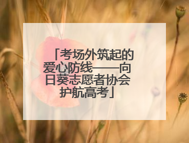 考场外筑起的爱心防线——向日葵志愿者协会护航高考