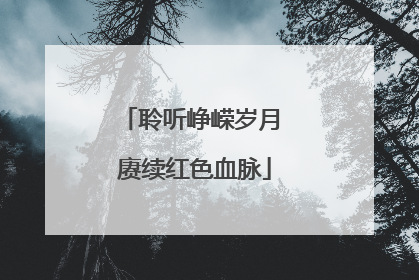 聆听峥嵘岁月 赓续红色血脉