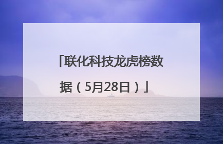 联化科技龙虎榜数据（5月28日）