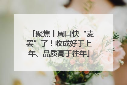 聚焦丨周口快“麦罢”了！收成好于上年、品质高于往年