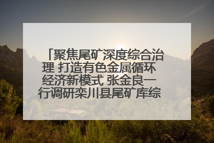 聚焦尾矿深度综合治理 打造有色金属循环经济新模式 张金良一行调研栾川县尾矿库综合治理工作