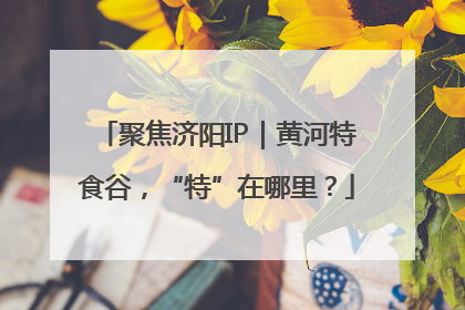 聚焦济阳IP｜黄河特食谷，“特”在哪里？