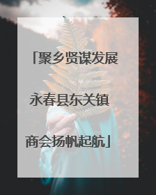 聚乡贤谋发展 永春县东关镇商会扬帆起航