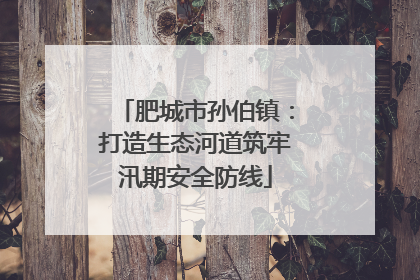 肥城市孙伯镇：打造生态河道筑牢汛期安全防线
