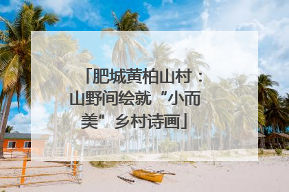 肥城黄柏山村：山野间绘就“小而美”乡村诗画
