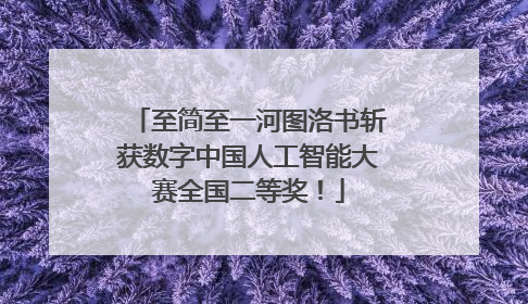 至简至一河图洛书斩获数字中国人工智能大赛全国二等奖！