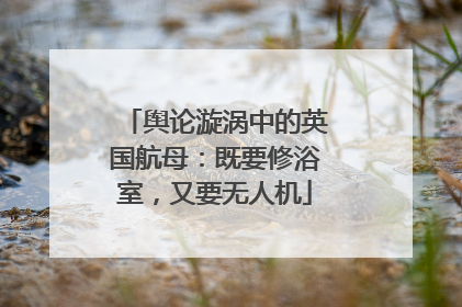 舆论漩涡中的英国航母：既要修浴室，又要无人机