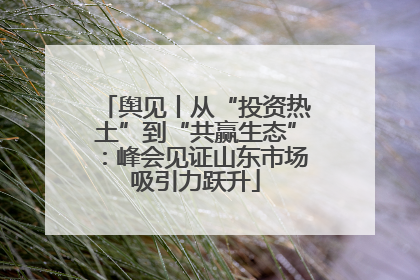 舆见丨从“投资热土”到“共赢生态”：峰会见证山东市场吸引力跃升