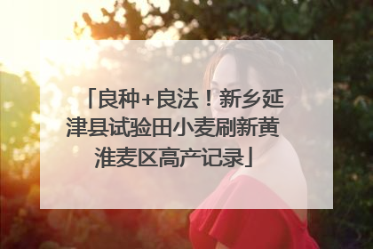 良种+良法！新乡延津县试验田小麦刷新黄淮麦区高产记录