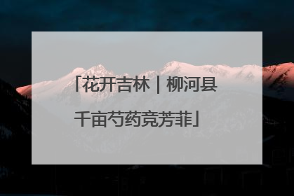 花开吉林｜柳河县千亩芍药竞芳菲