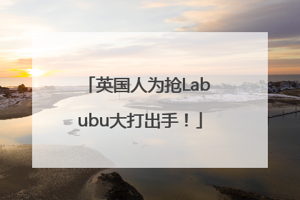 英国人为抢Labubu大打出手！
