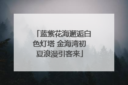 蓝紫花海邂逅白色灯塔 金海湾初夏浪漫引客来