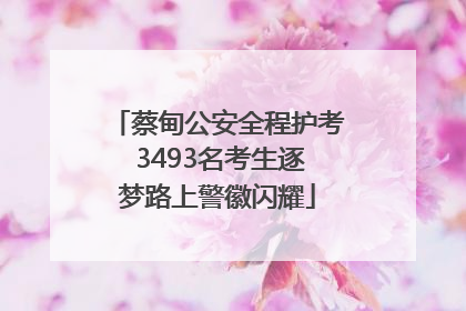 蔡甸公安全程护考 3493名考生逐梦路上警徽闪耀