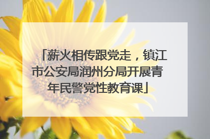 薪火相传跟党走，镇江市公安局润州分局开展青年民警党性教育课