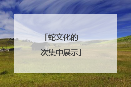 蛇文化的一次集中展示
