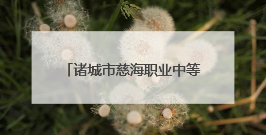 诸城市慈海职业中等专业学校2025年招生录取工作实施方案