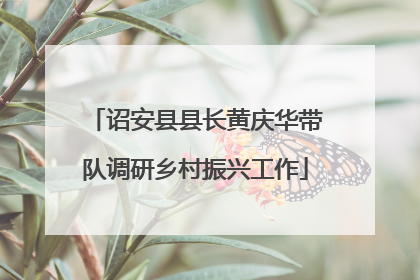 诏安县县长黄庆华带队调研乡村振兴工作