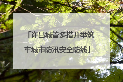 许昌城管多措并举筑牢城市防汛安全防线