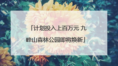 计划投入上百万元 九峰山森林公园即将焕新