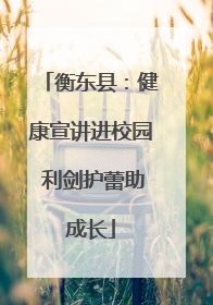 衡东县：健康宣讲进校园 利剑护蕾助成长