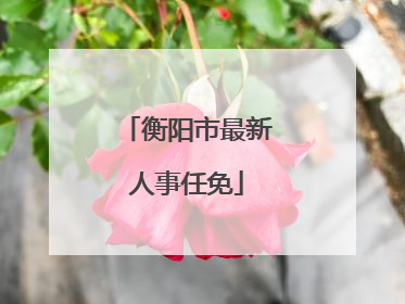 衡阳市最新人事任免