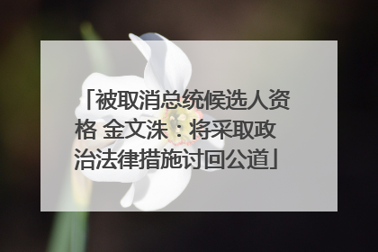 被取消总统候选人资格 金文洙：将采取政治法律措施讨回公道