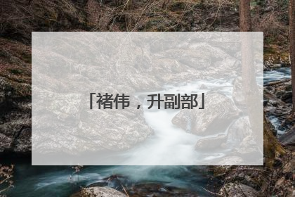 褚伟，升副部