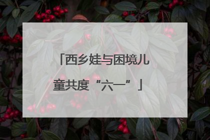 西乡娃与困境儿童共度“六一”