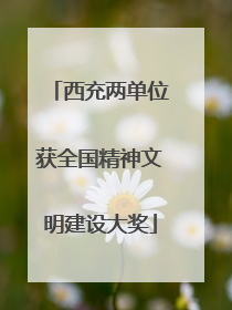 西充两单位获全国精神文明建设大奖
