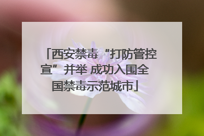 西安禁毒“打防管控宣”并举 成功入围全国禁毒示范城市