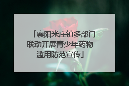 襄阳米庄镇多部门联动开展青少年药物滥用防范宣传