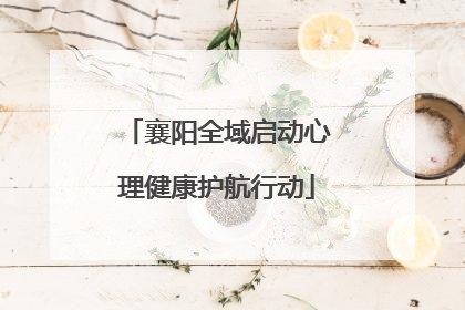 襄阳全域启动心理健康护航行动