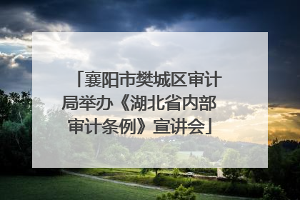 襄阳市樊城区审计局举办《湖北省内部审计条例》宣讲会