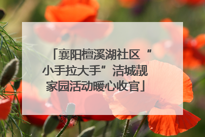 襄阳檀溪湖社区“小手拉大手”洁城靓家园活动暖心收官